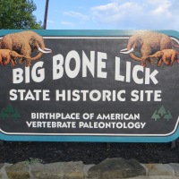 Big Bone Lick: The World’s Best Paleo Pun